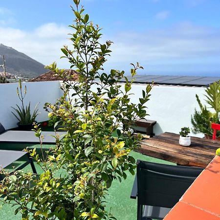The Little Brezo Stone Home Tenerife Los Realejos Exteriér fotografie