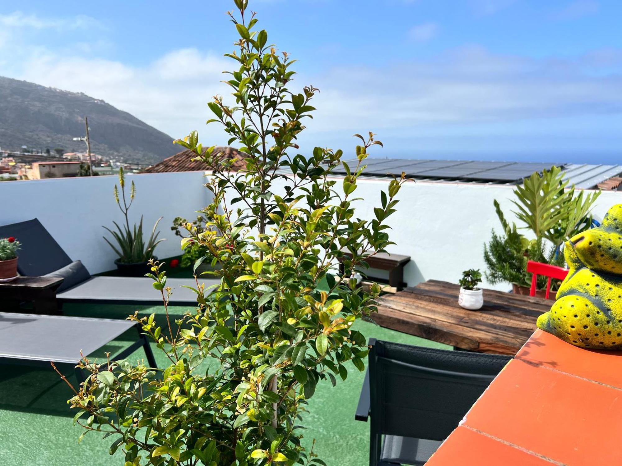 The Little Brezo Stone Home Tenerife Los Realejos Exteriér fotografie